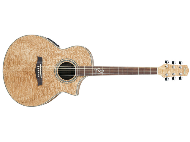 Ibanez — ваша лучшая гитара! Ibanez — ваша лучшая гитара!
